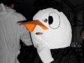2010 G__schnas _5_